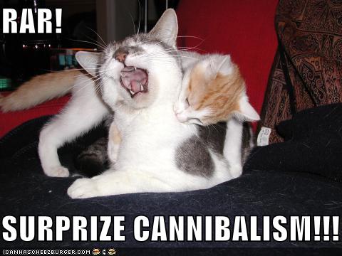 lolcats-funny-pictures-surprise-cannibalism